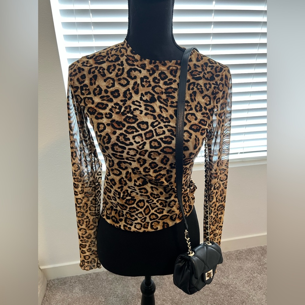 Ladies Sheer Blouse